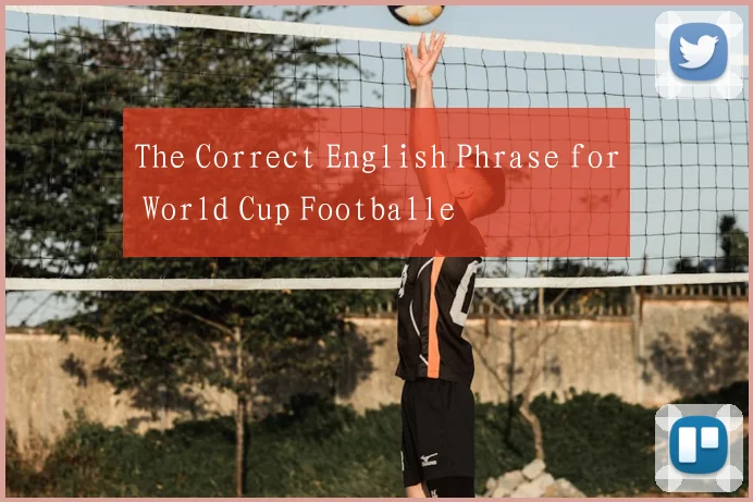 The Correct English Phrase for World Cup Footballe