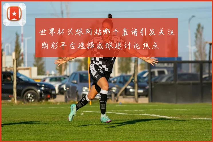 世界杯买球网站哪个靠谱引发关注 购彩平台选择成球迷讨论焦点