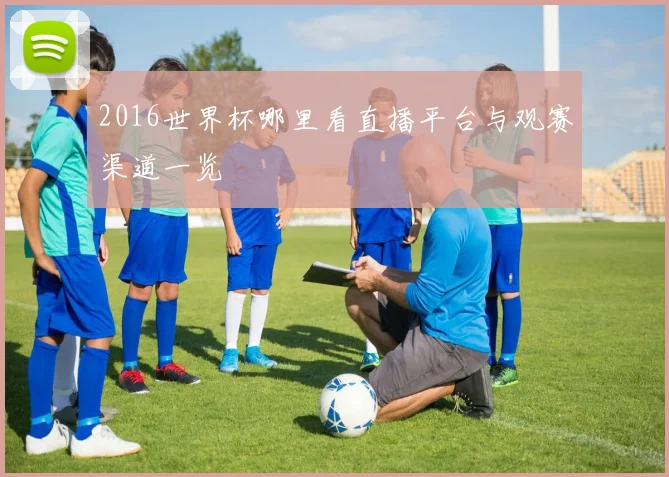 2016世界杯哪里看直播平台与观赛渠道一览