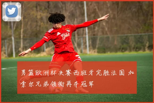 男篮欧洲杯决赛西班牙完胜法国 加索尔兄弟领衔再夺冠军