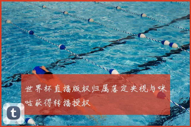 世界杯直播版权归属落定央视与咪咕获得转播授权