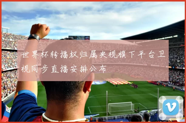 世界杯转播权归属央视旗下平台卫视同步直播安排公布