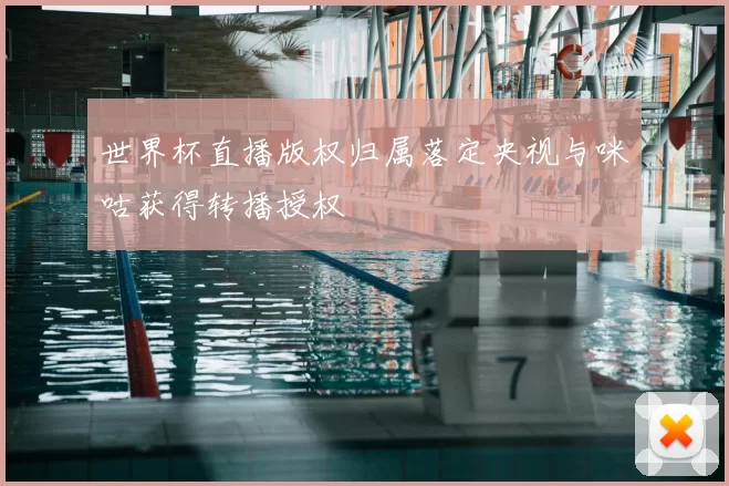 世界杯直播版权归属落定央视与咪咕获得转播授权