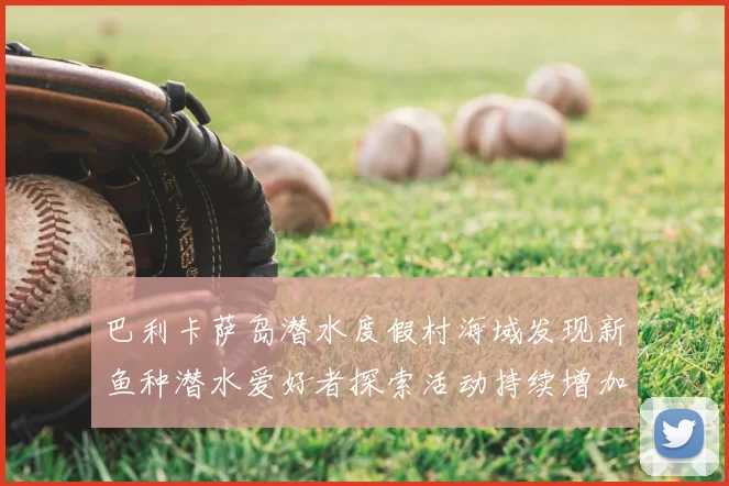 巴利卡萨岛潜水度假村海域发现新鱼种潜水爱好者探索活动持续增加